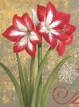 Winter Birds Amaryllis I