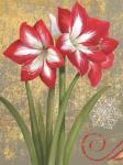 Winter Birds Amaryllis I