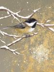 Winter Birds Chickadee Color