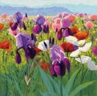 Early June