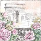 Paris Roses V