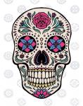 Sugar Skull on Gray