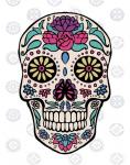 Sugar Skull III on Gray