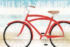 Beach Cruiser His I