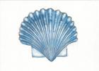 Navy Scallop Shell