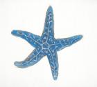 Navy Starfish