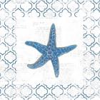 Navy Starfish on Newsprint