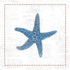 Navy Starfish on Newsprint with Red
