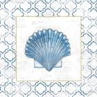 Navy Scallop Shell on Newsprint with Gold