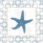 Navy Starfish on Newsprint with Gold