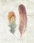 Natural Flora XI Bold Feathers