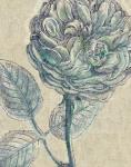 Belle Fleur III Crop Linen