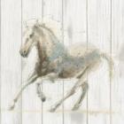 Stallion II on Birch