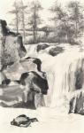 Sumi Waterfall I