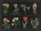 Botanical on Black Chart I