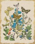 Butterfly Bouquet II Linen