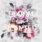 Bloom Where You Are Planted