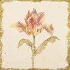Vintage Zoomer Schoon Tulip Crop