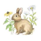 Wildflower Bunnies II Sq