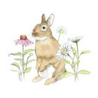 Wildflower Bunnies IV