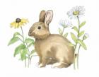 Wildflower Bunnies II