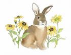 Wildflower Bunnies III