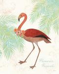 Flamingo Tropicale II