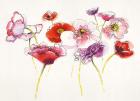 Pink and Red Somniferums