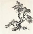 Sumi Tree I