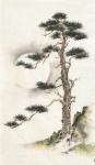 Moon Pine