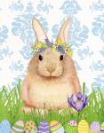 Spring Bunny I