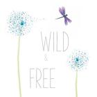 Wild and Free