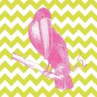 Bright Menagerie Toucan