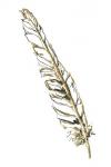 Gilded Swan Feather I