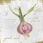 Garden Treasures XI