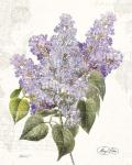 May Lilac on White