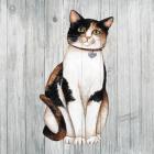 Country Kitty III on Wood