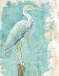 Coastal Egret I