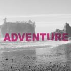 Bold Adventures V