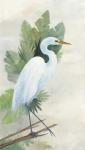 Standing Egret I