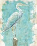 Coastal Egret I