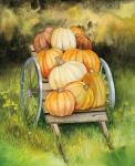 Pumpkin Harvest