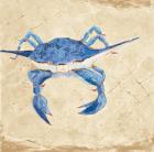 Blue Crab VI Neutral