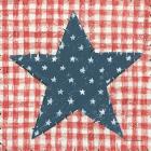 Americana Quilt II