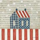 Americana Quilt V