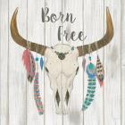 Bohemian Rising I no Border Born Free