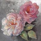 Roses on Gray I