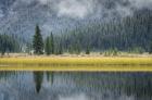 Waterfowl Lake II