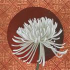 Morning Chrysanthemum III