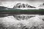 Waterfowl Lake I BW with Color